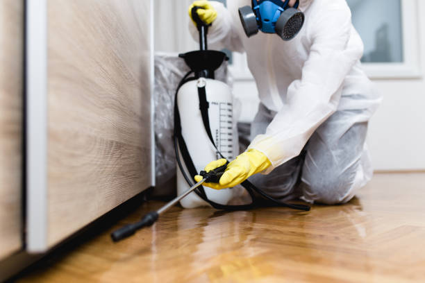 Pest Control Cost in Glencoe, IL