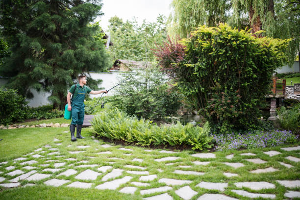 Best Pest Inspection Near Me  in Glencoe, IL