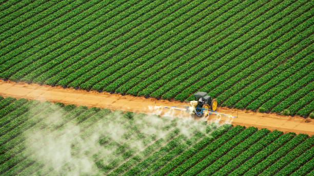 Best Best Pest Control Companies  in Glencoe, IL