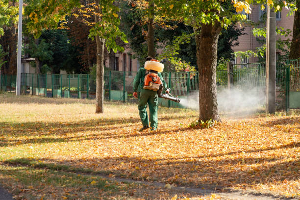 Pest Control for Restaurants in Glencoe, IL