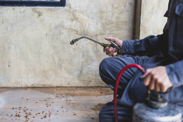 Best Rat Extermination Near Me  in Glencoe, IL