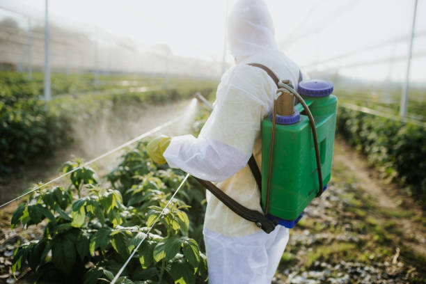 Glencoe, IL Pest Control Company